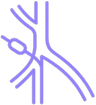 Vascular Surgery and Interventional Radiology